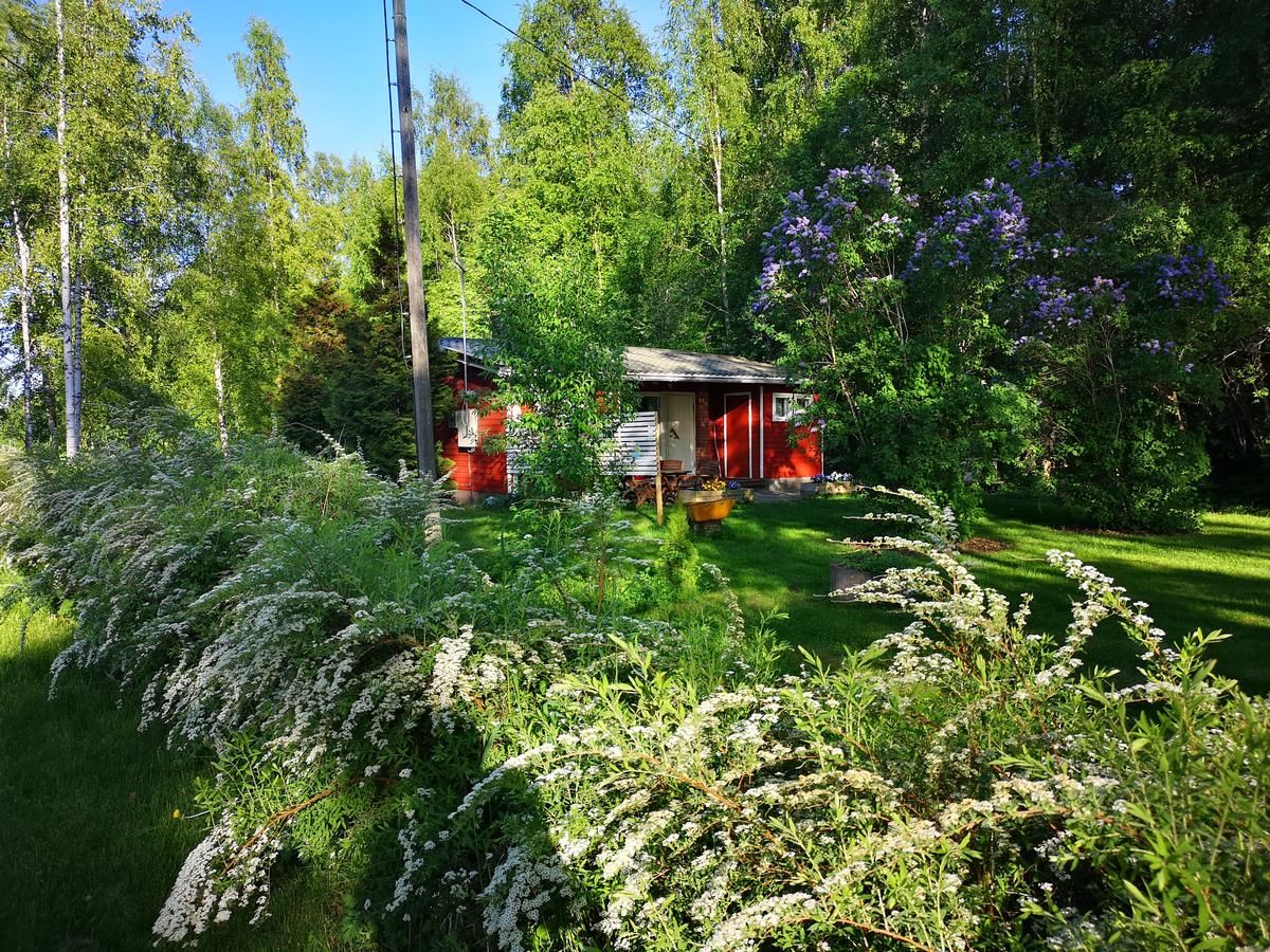 Дома для отпуска Koivuniemi Cottage Сякюля-6